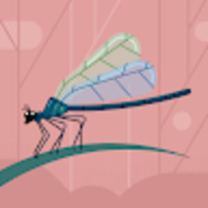 Meet your Posher, Bell